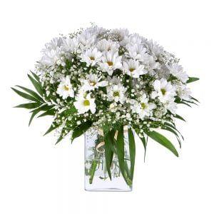 Buquê de Margaridas brancas