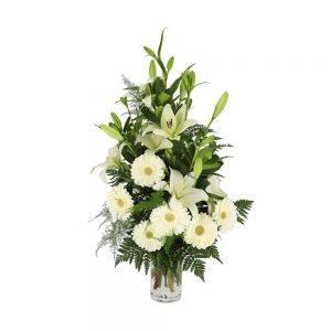 Palma branca para funeral