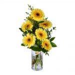 Ramo de gerberas amarelas