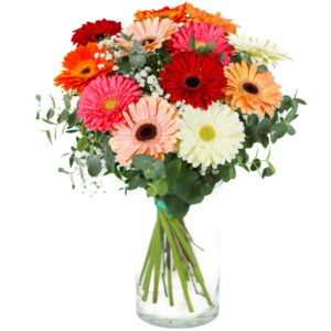 Ramo de gerberas de várias cores